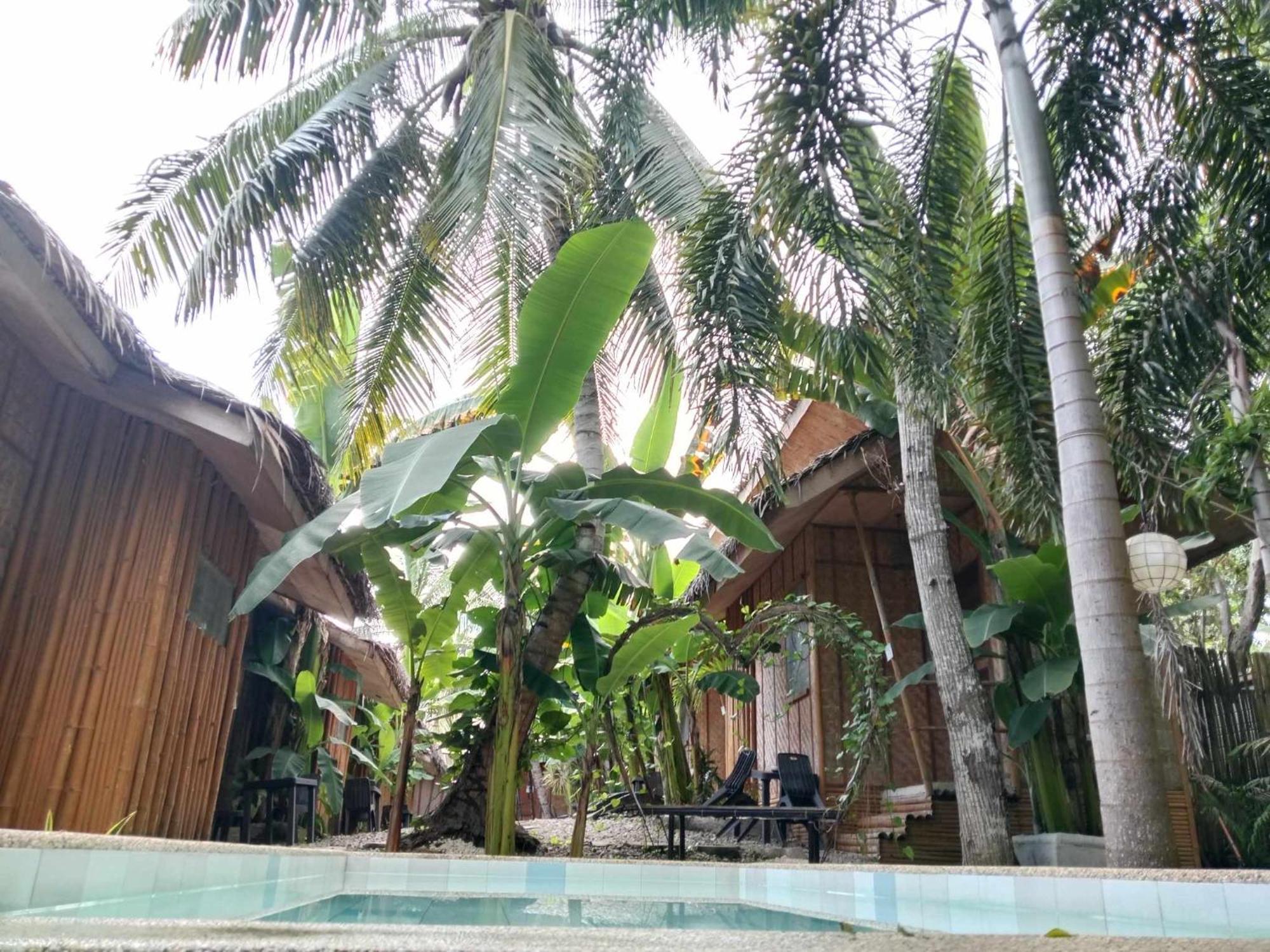 Ecostay Panglao Resort Hotel Dış mekan fotoğraf